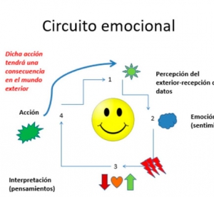 Circuito emocional psicoaromaterapia